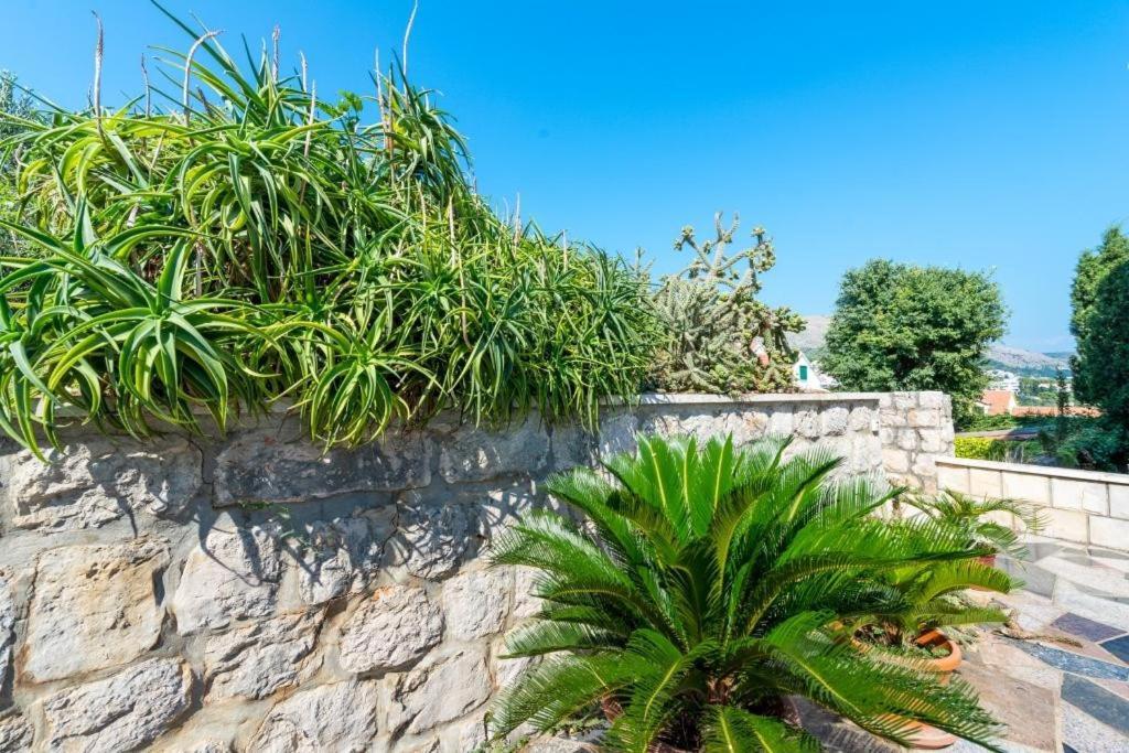 Apartments & Rooms Tapera Ντουμπρόβνικ Εξωτερικό φωτογραφία